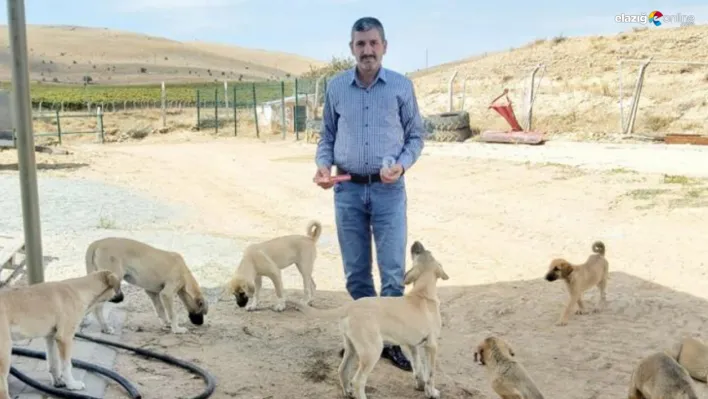 Köy muhtarı Gündem'in hayvan sevgisi takdir topluyor