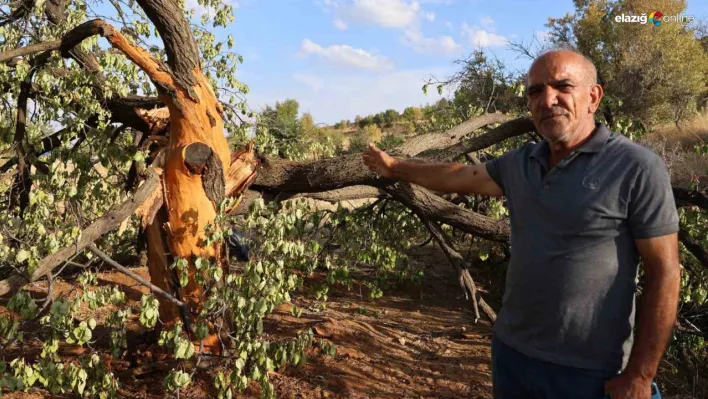 Elazığ Çalıca köyünde yıldırım korkusu! Köy halkı bölgenin araştırılmasını istiyor!