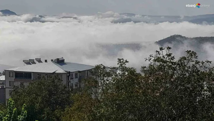 Kulp ilçesinde yoğun sis