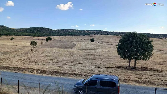 Kulp'ta sağanak başladı, çitçiler umutlandı