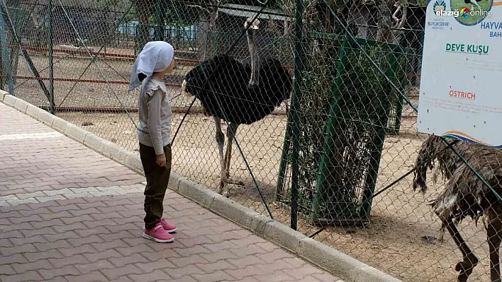 Kurban Bayramı'nda Hayvanat Bahçesi öğrencilere ücretsiz olacak