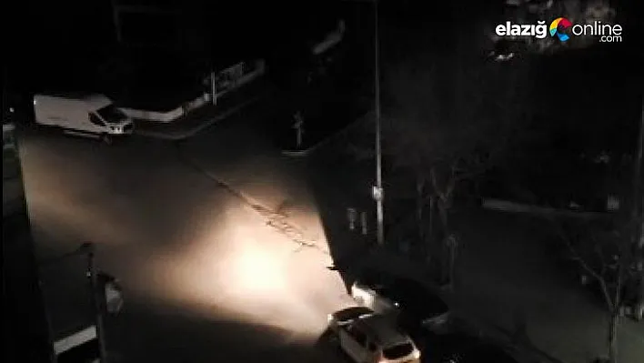 Karakoçan'da 2 mahalle kuşların azizliğine uğradı