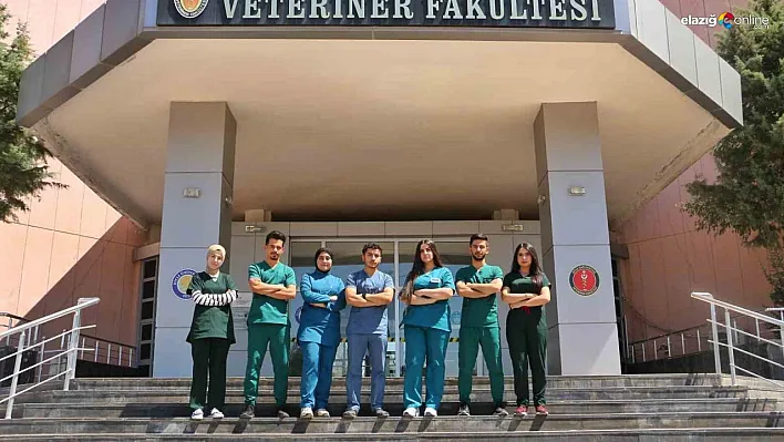 Kuzey Irak'tan 14 veteriner hekim adayı Diyarbakır'da staj yapacak