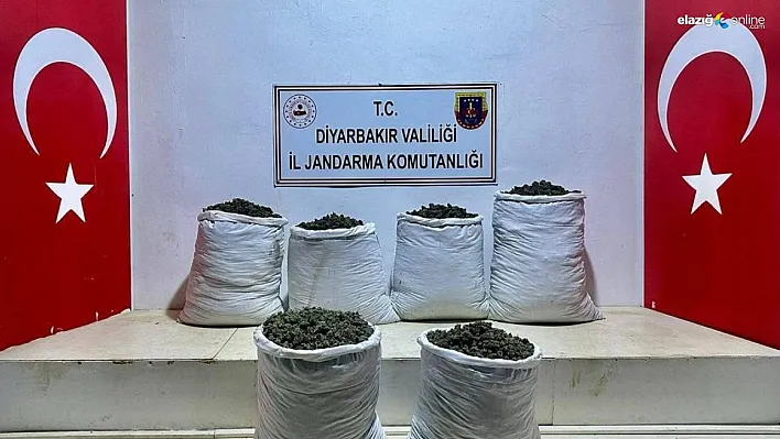 Lice'de 3 ayrı noktada 79 kilo esrar ele geçirildi