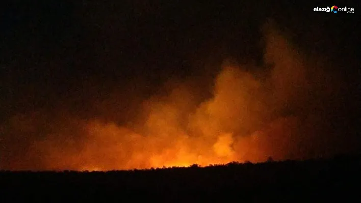 Lice'de 6 saattir devam eden yangında 6 hane tahliye edildi