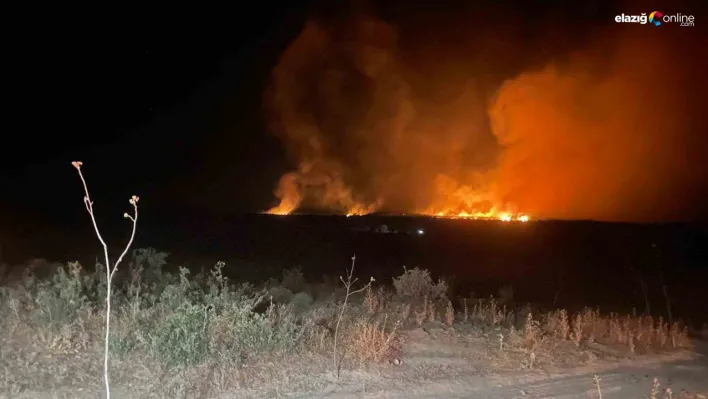 Lice'de gece başlayan orman yangını söndürüldü