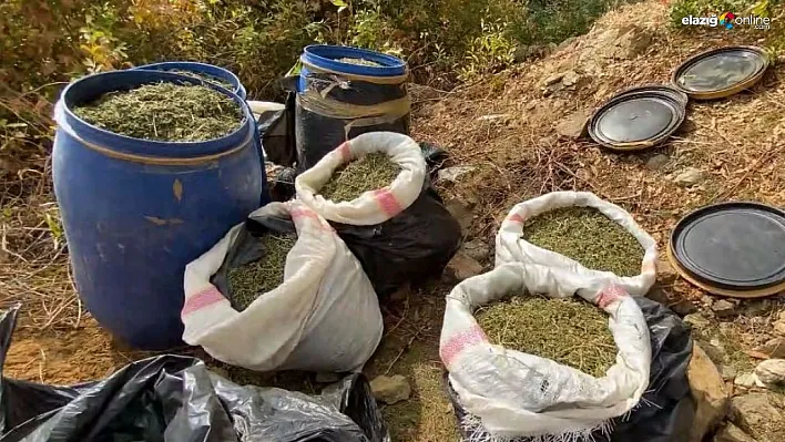 Lice'de terörün finans kaynağına darbe!