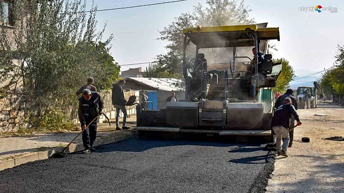 Lice yolları asfaltlanıyor