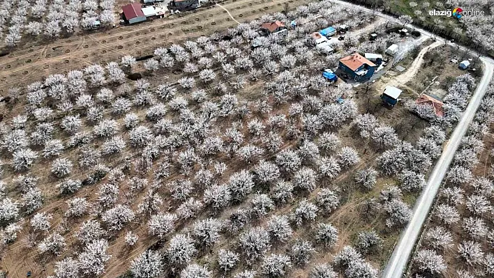 Malatya beyaz gelinliğini giydi