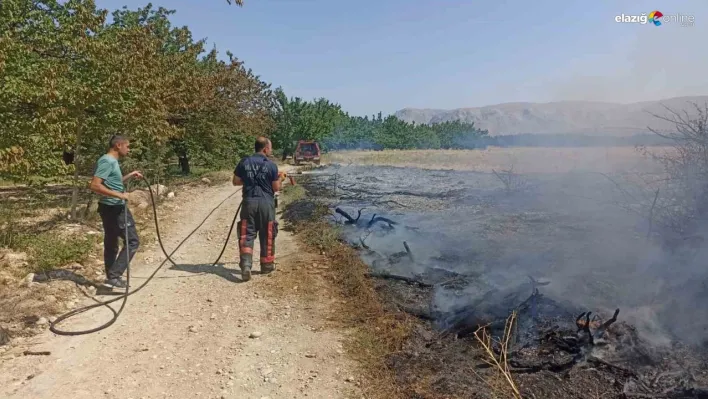 Malatya'da anız ve bahçe yangınları