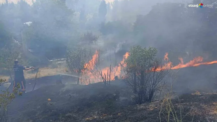 Malatya'da bahçelik alanda korkutan yangın