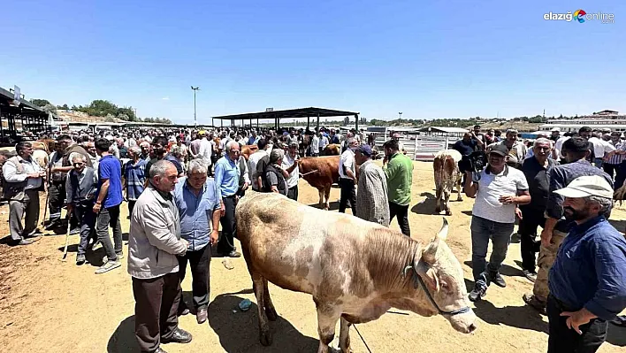 Malatya'da canlı Hayvan Pazarı'nda Arife günü yoğunluğu