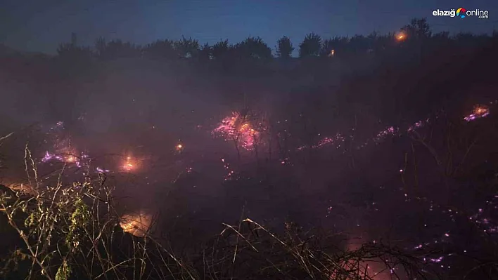 Malatya'da iki ayrı yangın