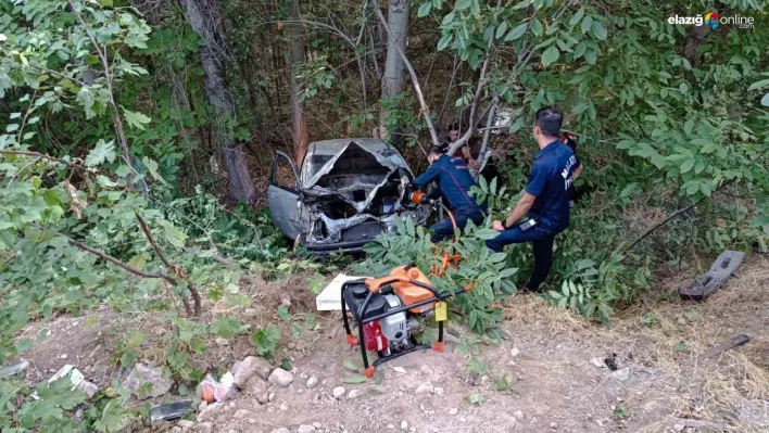 Malatya'da kontrolden çıkan otomobil şarampole devrildi: 2 yaralı