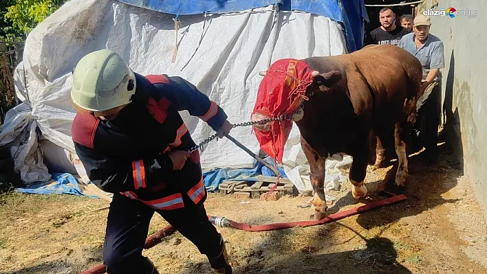 Malatya'da korkutan ahır yangını