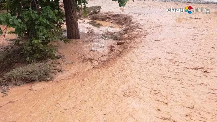 Malatya'da sağanak yağış sele neden oldu