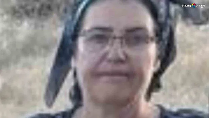 Malatya'da üç çocuk annesi havuzda ölü bulundu