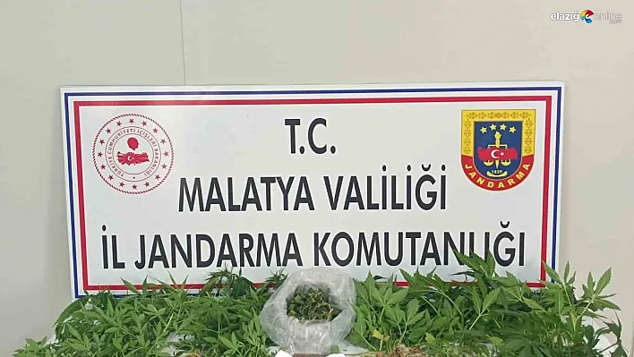 Malatya'da uyuşturucu operasyonu: 3 tutuklama