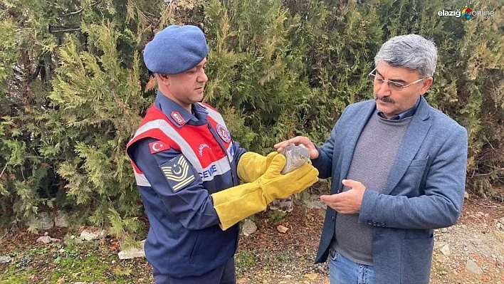 Malatya'da yaralı bulunan Atmaca koruma altına alındı