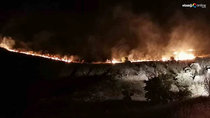 Malatya'daki orman yangını kontrol altına alındı