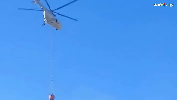 Malatya'daki orman yangını kontrol altına alındı