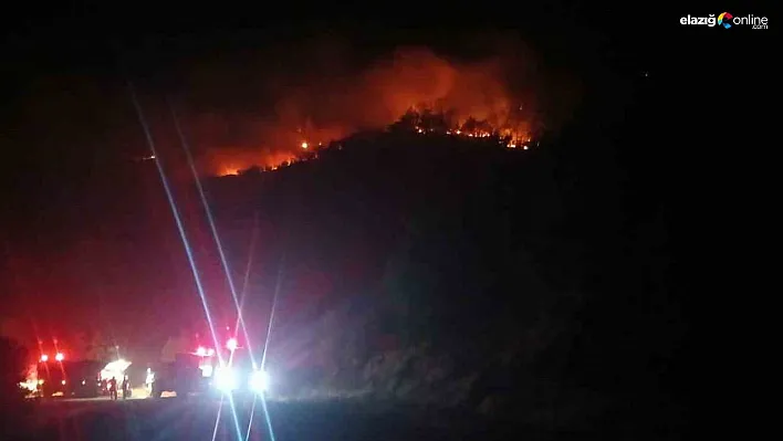Malatya'daki orman yangını sürüyor