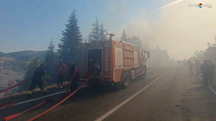 Malatya'daki orman yangınına havadan ve karadan müdahale sürüyor