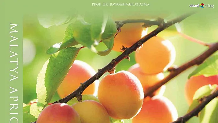 Malatya Kayısısı Kitabı, Riyad'da en iyilerle yarışacak