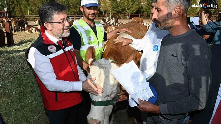 Malatyalı depremzedelere büyükbaş hayvan desteği