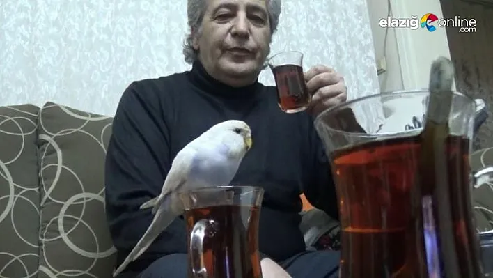 Maviş'in çay keyfi görülmeye değer