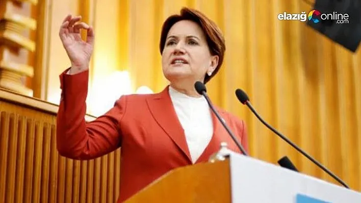 Meral Akşener erken seçim tarihini açıkladı!