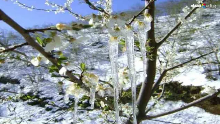 Meteoroloji Elazığ İçin Uyardı: Zirai Don Tehlikesi Kapıda!