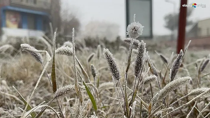 Meteorolojiden Diyarbakır için 'zirai don' uyarısı