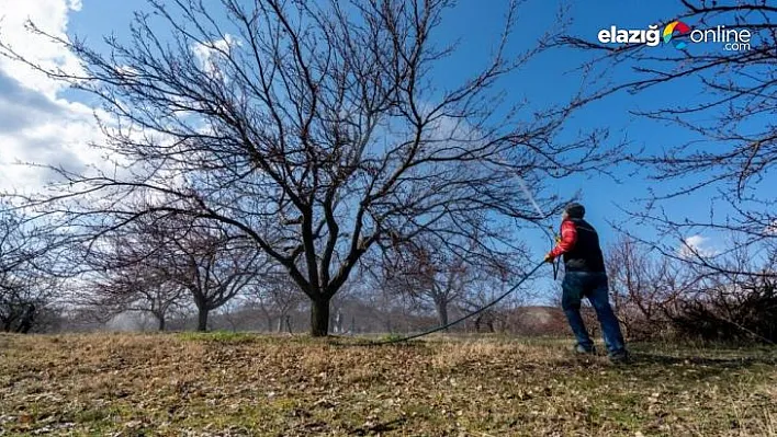 Meteorolojiden kayısı üreticilerine don uyarısı!