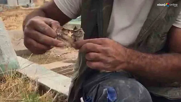 Mezarlıktan kefenlenmiş oyuncak bebek çıktı