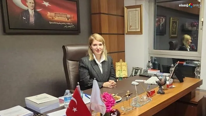 Milletvekili Ölmeztoprak: 'AK Parti'miz 24 yaşında'