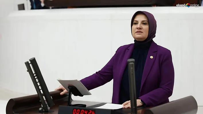 Milletvekili Sermin Balık: 'Biz devletin babalığını 24 Ocak Elazığ depreminde gördük'