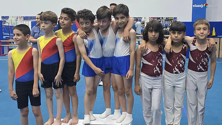 Minik Erkekler ANALİG Cimnastikte Elazığ Rüzgarı!