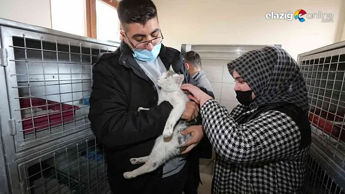 Minik dostlar misafirlerini ağırladı