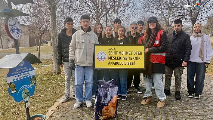 Sokak Hayvanları İçin Harekete Geçtiler: Elazığ'da Örnek Çalışma!