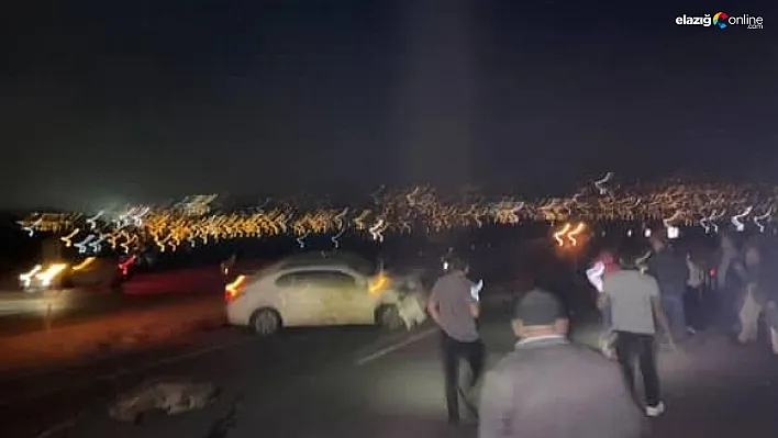 Elazığ'da Kuzeyçevre Yolunda Feci Kaza: Otomobil Koyun Sürüsüne Daldı!