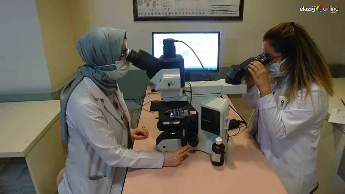 Hepatit C Artık Tedavi Edilebiliyor! Uzmanlardan Önemli Açıklama!