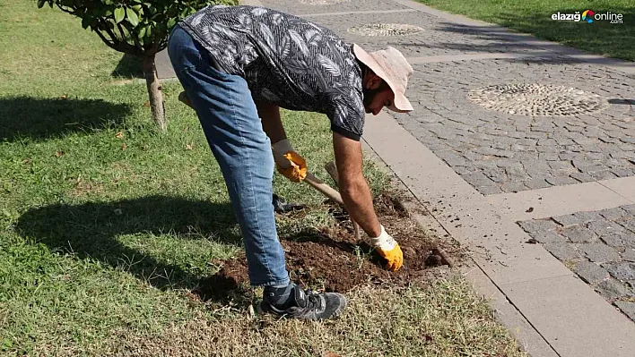 Diyarbakır Müzesinde 'Sütunlu Yol' dönemi başlıyor