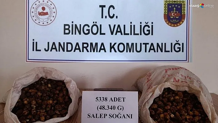 Bingöl'de salep soğanı toplayan kişilere rekor ceza!