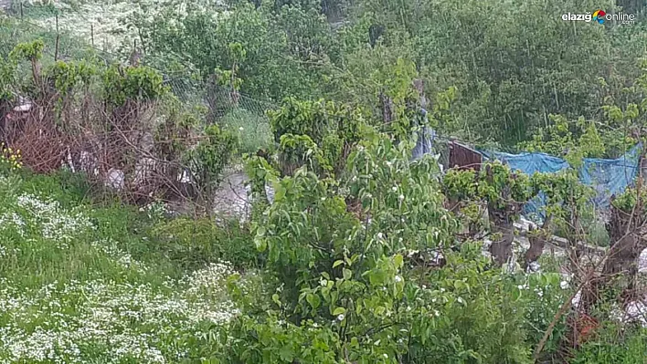Silvan'da sağanak ve dolu yağışı etkili oldu