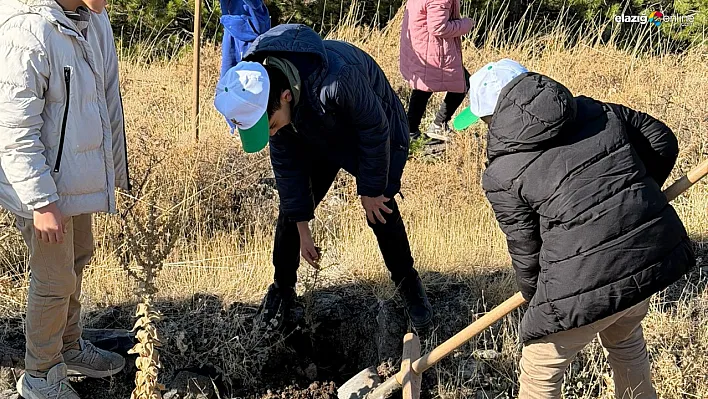 Sivrice'de Öğrenciler Geleceğe Nefes Oldu: Yeşil Vatan Fidanları Toprakla Buluştu!