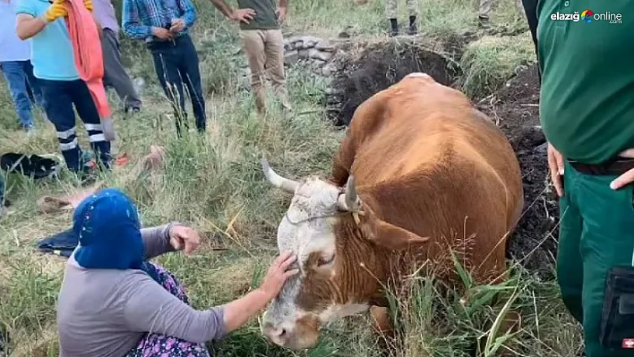 Düştüğü kuyudan ekipler kepçe yardımı ile kurtardı