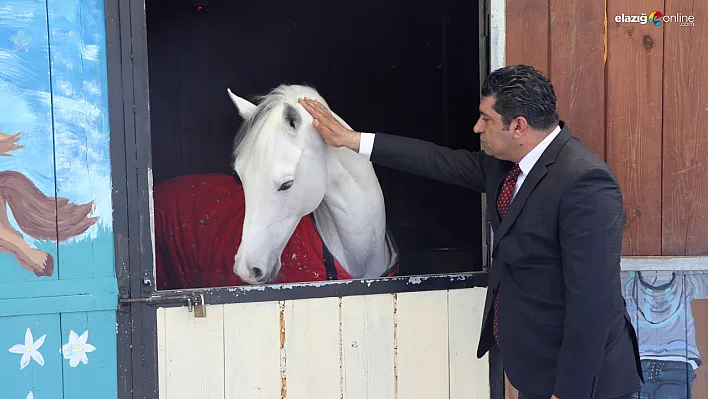 TJK duyurdu! 12 Nisan'da açılıyor