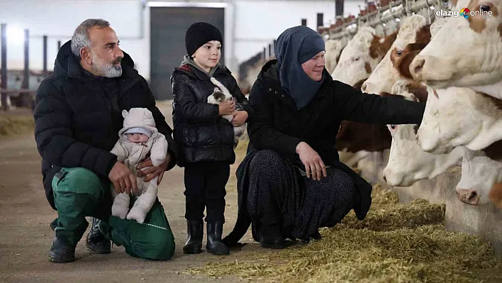 Avrupa'da Böyle Destek Yok! TKDK Desteğiyle Kurduğu Çiftlikte Yılda 432 Ton Süt Üretiyor!