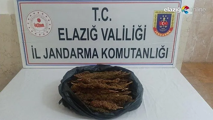 Toz esrarı koltuğa zulalayan 2 şüpheli yakalandı